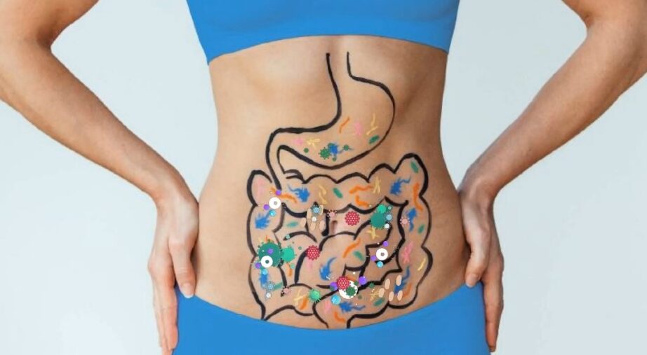 Cơ thể khỏe mạnh bắt đầu từ hệ tiêu hóa cân bằng